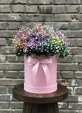 Цветочная композиция из Гипсофила и Розы в шляпной коробке #REPLACE_PRED# Котовске