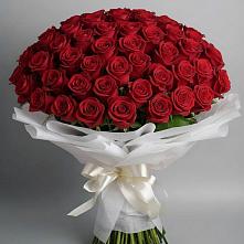 Букет 101 Красная роза Блэк Мэджик в Котовске