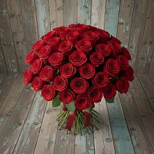 Букет 55 Красных роз Фридом #REPLACE_PRED# Котовске