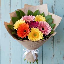 Букет цветов из:  Герберы #REPLACE_PRED# Котовске