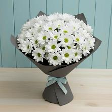 Букет цветов из:  Хризантемы в Котовске