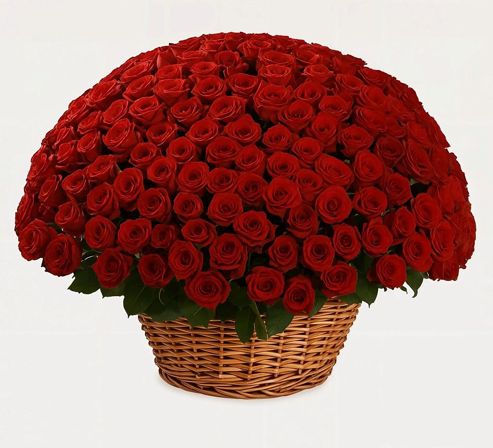 Премиум букет из: Розы в Котовске