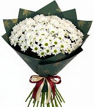 Букет цветов из:  Хризантемы #REPLACE_PRED# Котовске