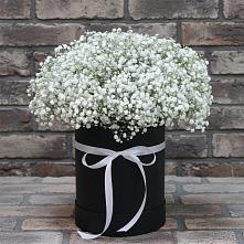 Цветочная композиция из Гипсофила в шляпной коробке в Котовске