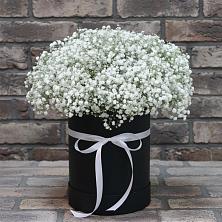 Цветочная композиция из Гипсофила в шляпной коробке в Котовске