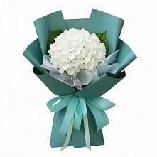 Букет цветов из:  Гортензия #REPLACE_PRED# Котовске